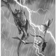 Prince Aemond on Vhagar chases Prince Lucerys on Varax.